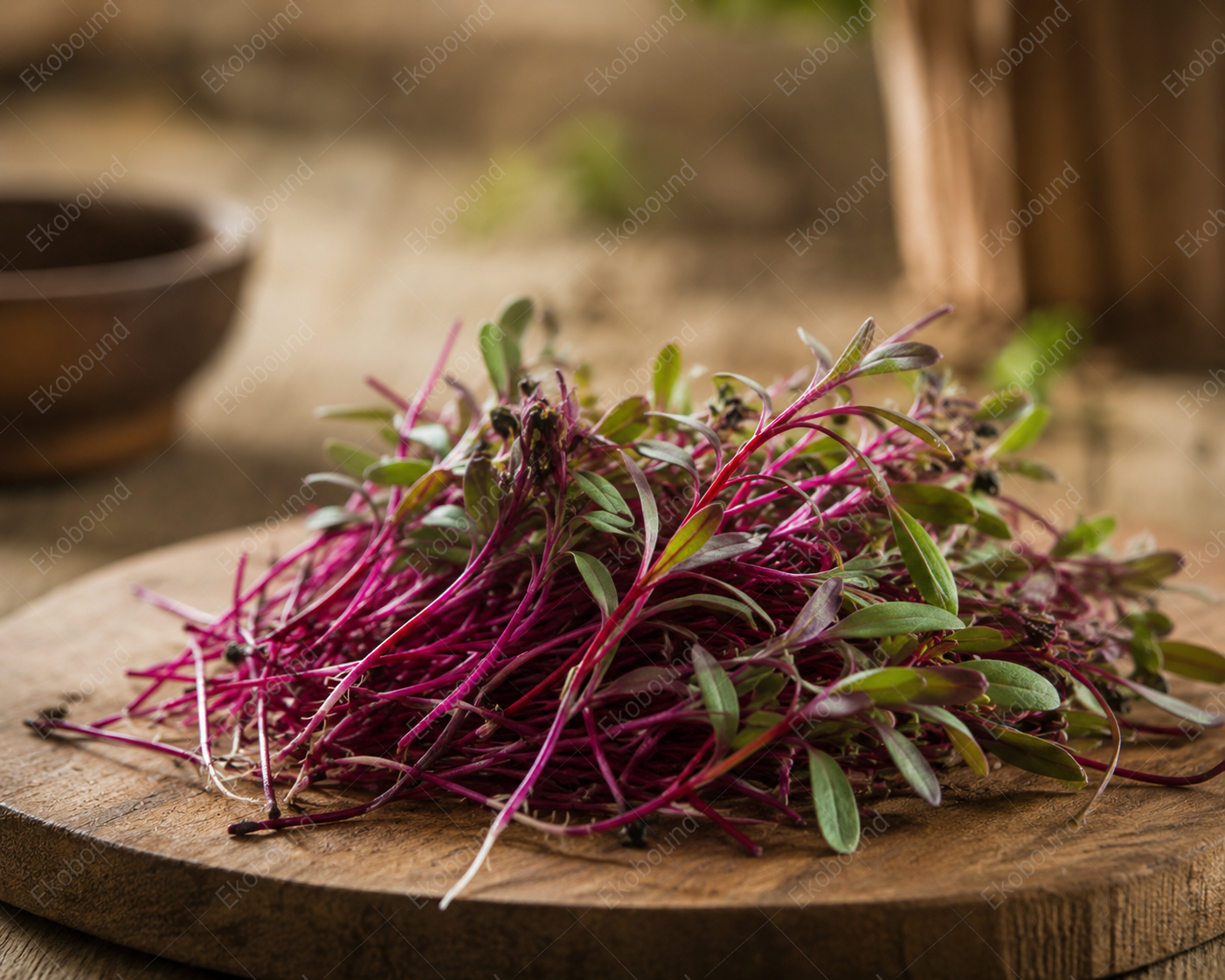 Fresh Beetroot Microgreens from Ekobound. Sustainably grown, harvested fresh, and delivered across Bangalore. Perfect for salads, wraps, smoothies, and healthy everyday meals.