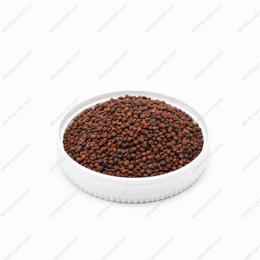 Ekobound Purple Radish Microgreen Seeds (100g) | Premium Organic Non-GMO Seeds for Fresh Homegrown Microgreens