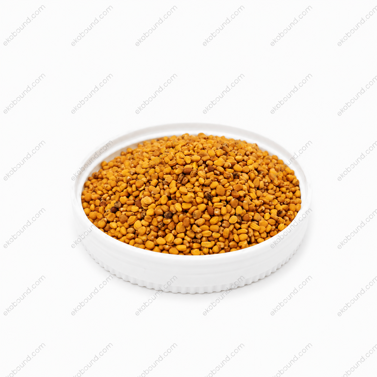 Ekobound Radish China Rose Microgreen Seeds (100g) | Premium Organic Non-GMO Seeds for Fresh Homegrown Microgreens