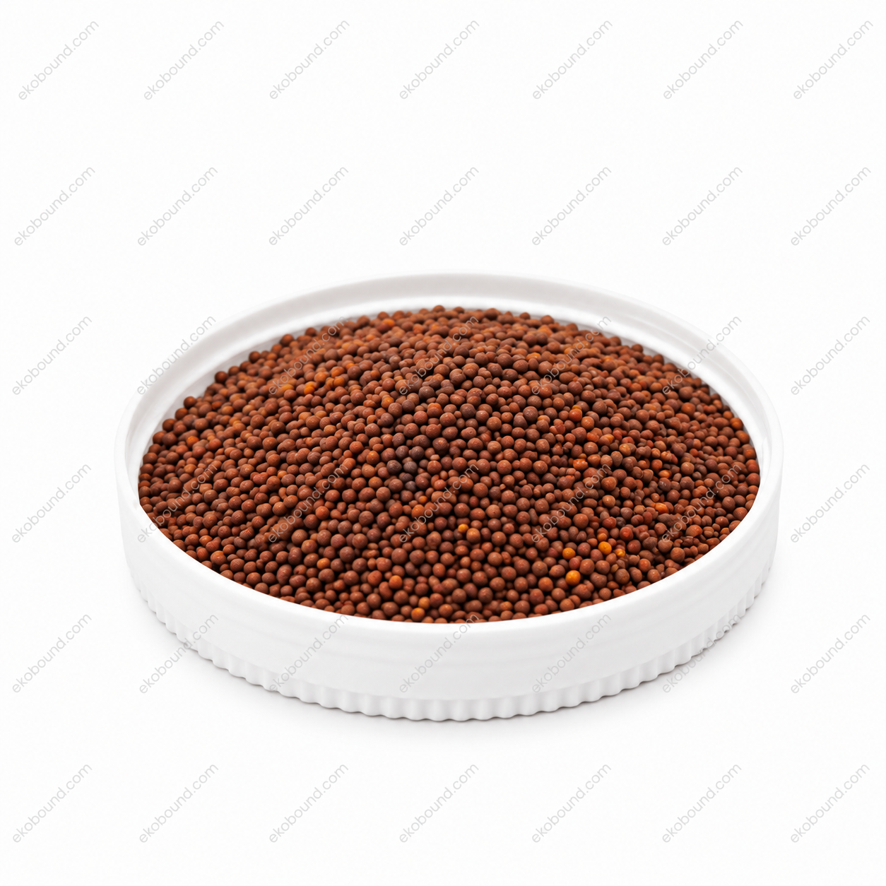 Ekobound Red Cabbage Microgreen Seeds (100g) | Premium Organic Non-GMO Seeds for Fresh Homegrown Microgreens