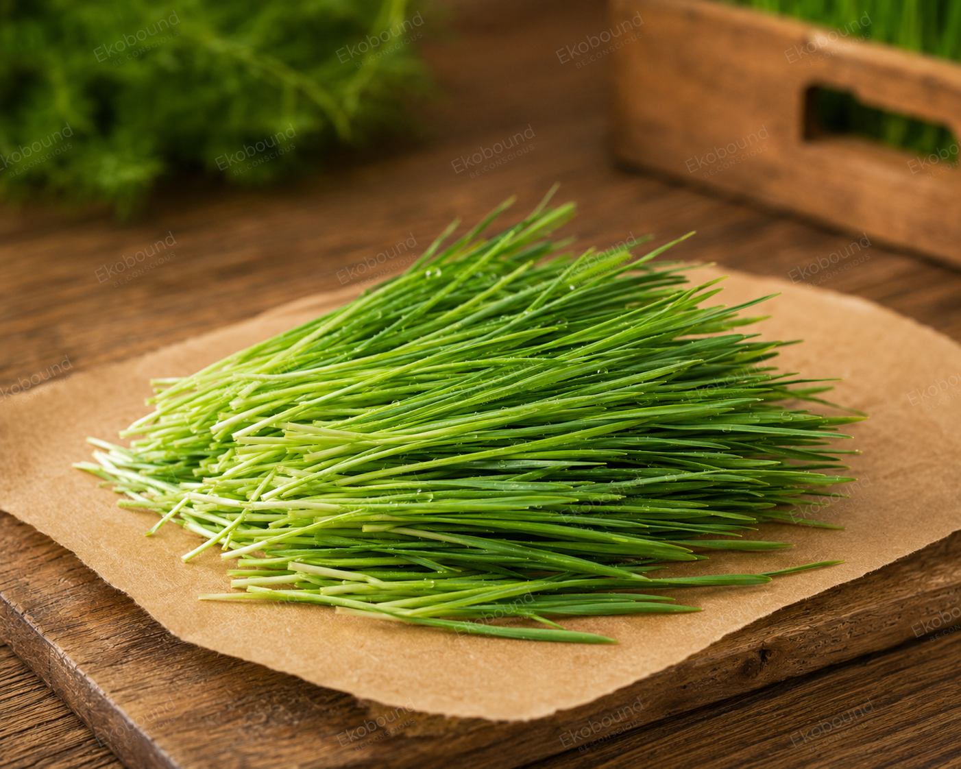 Fresh Wheat Grass from Ekobound. Sustainably grown, freshly harvested, and delivered across Bangalore. Perfect for juices, smoothies, wellness shots, and healthy everyday nutrition.
