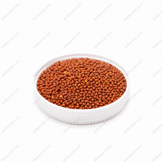 Ekobound White Radish Microgreen Seeds (100g) | Premium Organic Non-GMO Seeds for Fresh Homegrown Microgreens