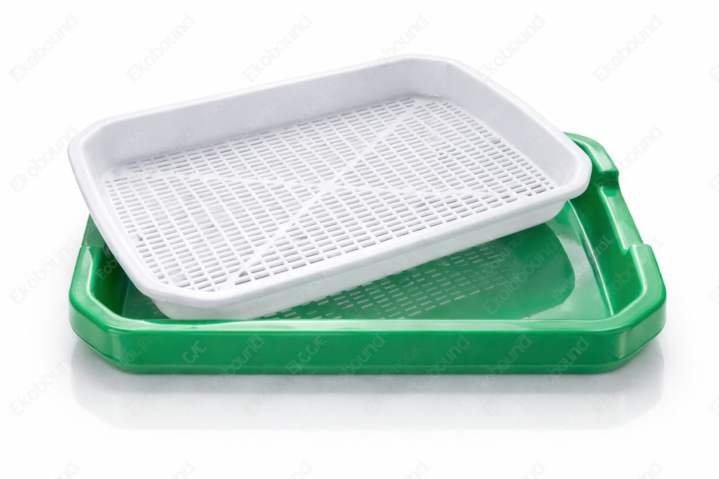 Best Microgreens Tray for Home Growing | Premium Hydroponic Tray by Ekobound